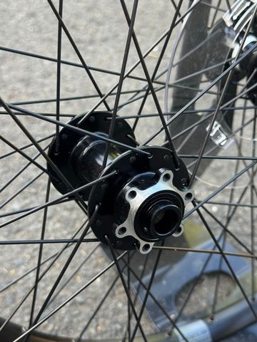 Used Focus Rodi Wheels 2024 bike — image 3 of 8