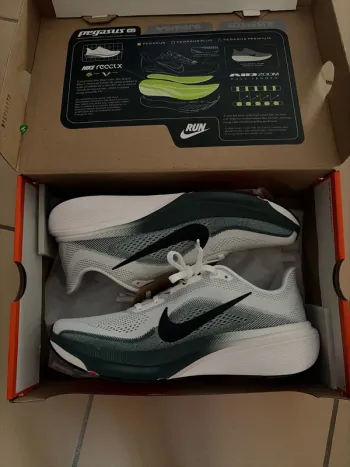 Gebrauchtes Nike Zoom Pegasus 42 Running Shoes
