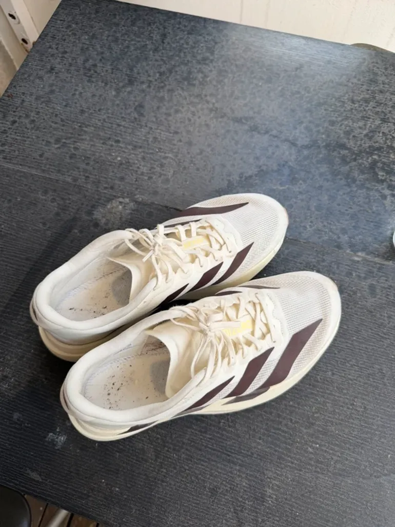 Used Simple Adizero Evo SL bike — image 2 of 2