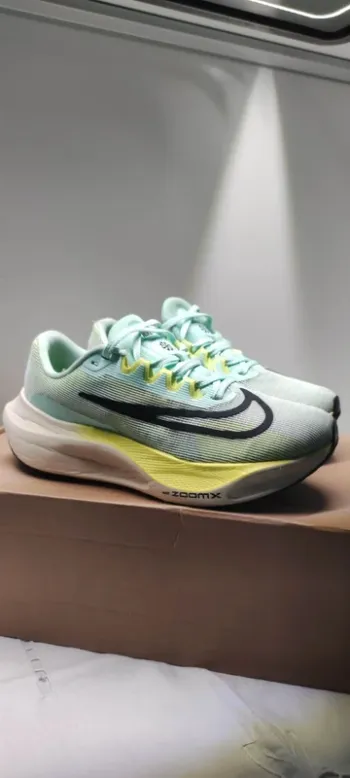 Used Ghost Zoom Fly 5 Running Shoes