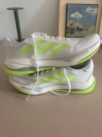 Used Supernova Prima 2 Running Shoes