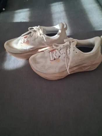 Brugt Asics Novablast 5 Running Shoes