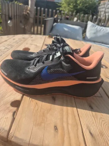 Brugt Pegasus 41 Running Shoes