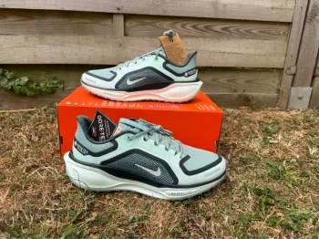 Used Pegasus Goretex Running Shoes