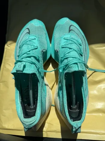 Brugt Scarpa Nike Pro Running Shoes
