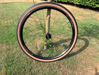 Used Bontrager Gravel Wheelset 2026 Wheels