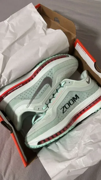Used Pegasus Air Zoom Premium Running Shoes
