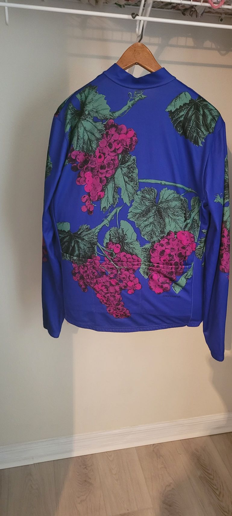 Used Giordana Jersey bike — image 2 of 4