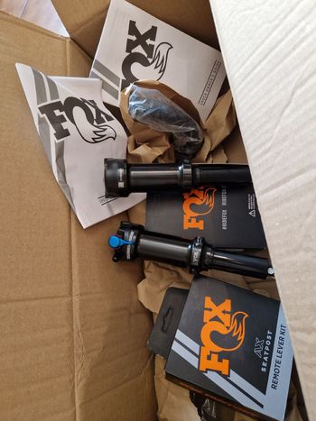 Fox Float DPS Performance Trunnion 2026 bike d'occasion — image 2 sur 21