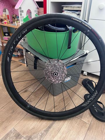 Gebrauchtes Miche Syntium Pro Disc Wheels 2024 bike — Bild 5 von 8