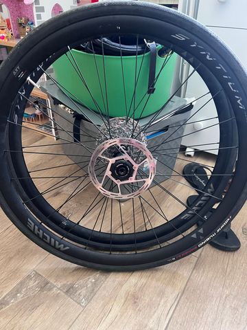 Gebrauchtes Miche Syntium Pro Disc Wheels 2024 bike — Bild 4 von 8