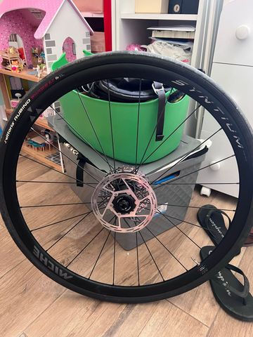 Gebrauchtes Miche Syntium Pro Disc Wheels 2024 bike — Bild 3 von 8