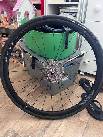 Gebrauchtes Miche Syntium Pro Disc Wheels 2024 bike — Bild 6 von 8