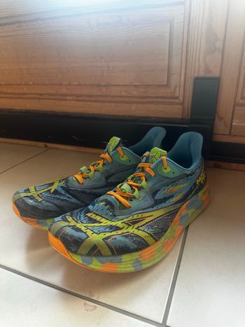 Asics Noosa Tri 15 2024 Running Shoes usato