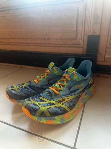 Asics Noosa Tri 15 2024 Running Shoes usato