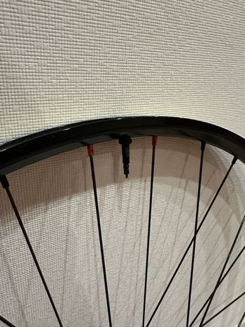Używany Hope Pro 2 Evo bike — zdjęcie 3 z 14