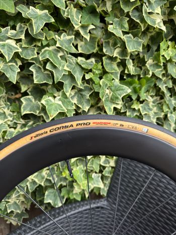 Used Vittoria Corsa Pro G2 TLR Tyres & Tubes