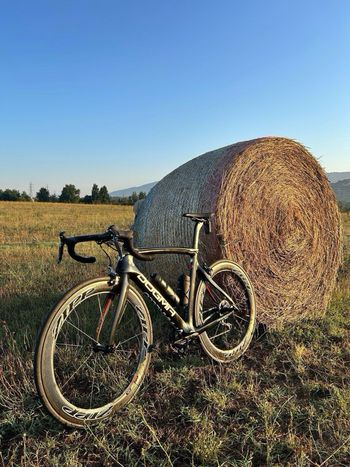 Used Zipp 404 Firecrest 2021 bike — image 3 of 3