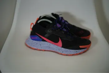 Used Pegasus Trail Gore-Tex Running Shoes