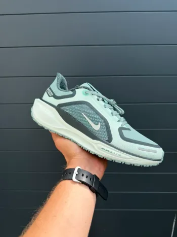 Pegasus 41 Gore-Tex Running Shoes usato