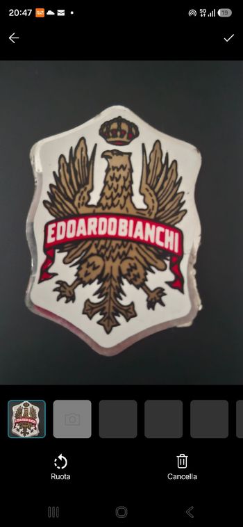 Gebrauchtes Bianchi Edoardo Aquila Coronata Decal Cycling Accessories