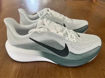 Gebrauchtes Pegasus 42 Running Shoes