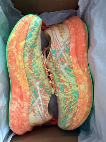 Used Asics Noosa Tri 16 2026 Running Shoes