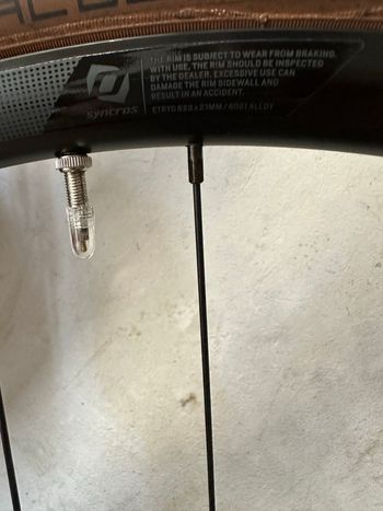 Used Syncros Race 24 disc Wheels