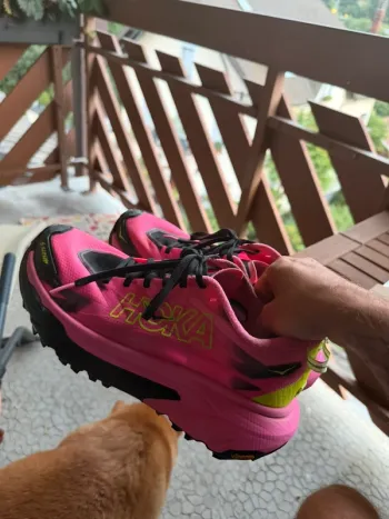 Hoka Mafate 5 Running Shoes usato