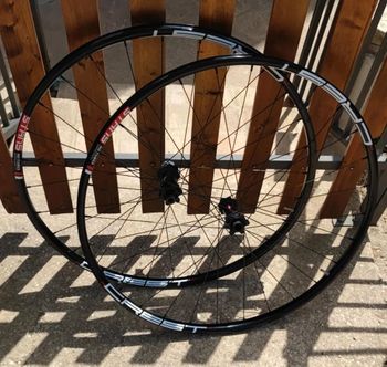 Gebrauchtes Stans Notubes Crest 29" disk 2024 Wheels