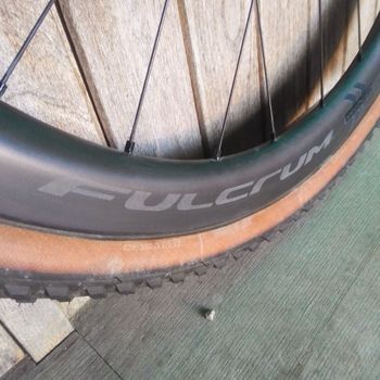 Used Fulcrum Wind 42 Wheels 2025 Wheels