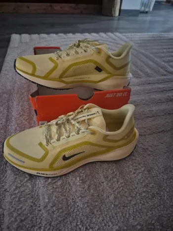 Tweedehands Pegasus 41 Gore-Tex Running Shoes