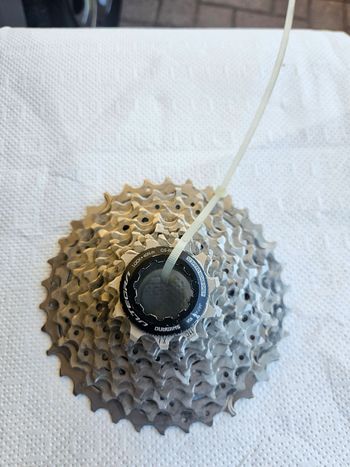 Used Shimano Ultegra 12V 11-34 Cassette 2026 Drivetrain & Pedals