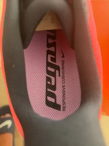 Used Pegasus Air Zoom 42 bike — image 3 of 4