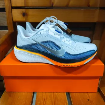 Gebrauchtes Pegasus 42 Running Shoes