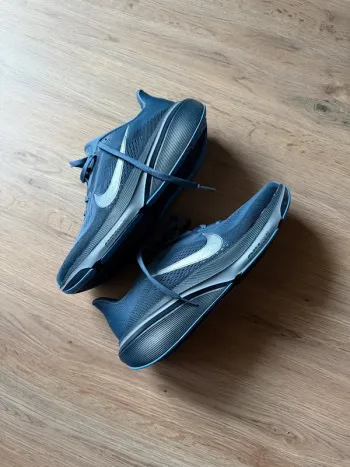 Pegasus 42 Running Shoes d'occasion