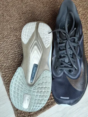 Käytetty Pegasus Zoom Fly 6 bike — kuva 4 / 4