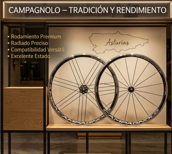 Campagnolo Eurus Wheelset Wheels usato