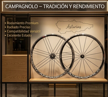 Brugt Campagnolo Eurus Wheelset Wheels
