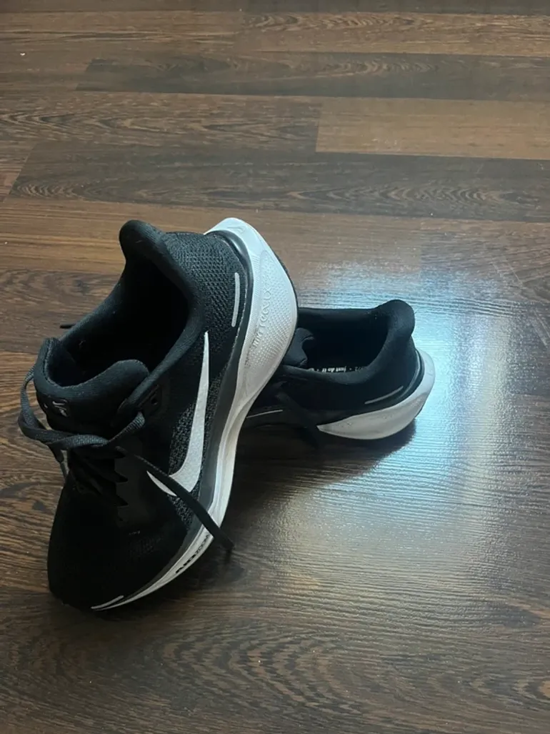 Pegasus 41 bike usato — immagine 4 di 8