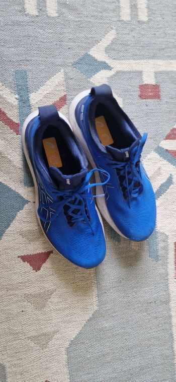 Gebrauchtes Asics Gel-Nimbus 25 2023 Running Shoes