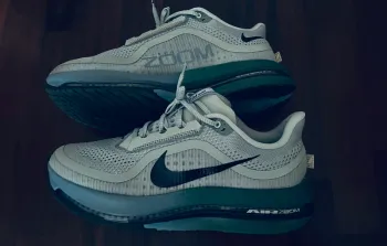 Gebrauchtes Pegasus Premium Running Shoes