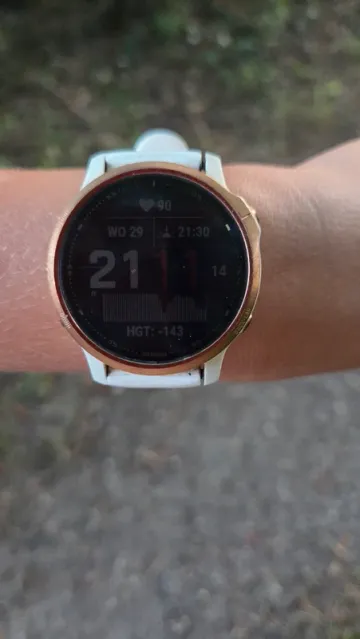 Pro Fenix 6 Electronics usato