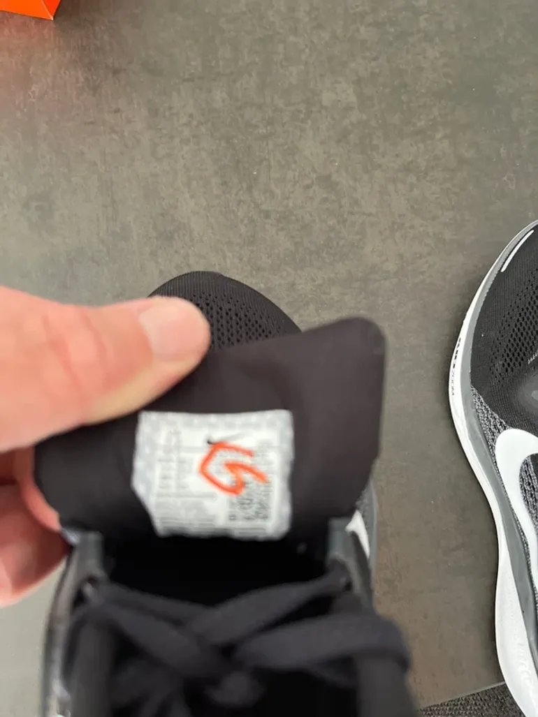 Used Pegasus Air 41 Zoom React X bike — image 7 of 20
