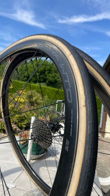 Used Campagnolo BORA WTO 33 Disc bike — image 2 of 5