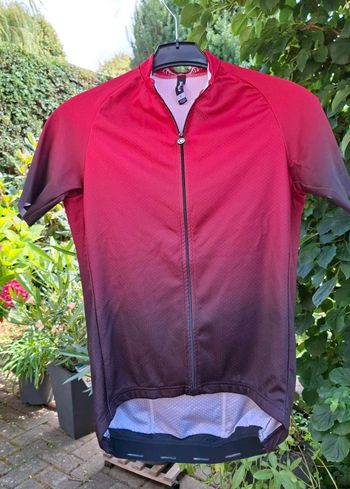 Gebrauchtes Assos MILLE GT Summer SS Jersey C2 Cycling Clothing