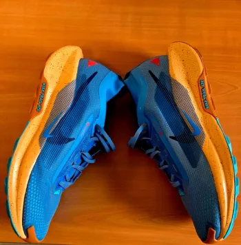 Gebrauchtes Pegasus Nike Trail Running Shoes