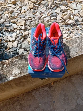 Käytetty Asics Gel Nimbus 20 Running Shoes