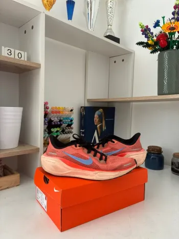 Tweedehands Pegasus Air Zoom 41 Running Shoes