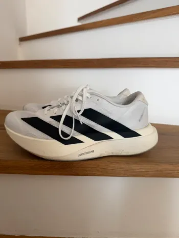 Tweedehands Adidas Evo SL Running Shoes